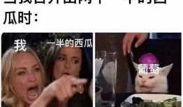 沙雕富婆在娱乐圈吃瓜爆红,沙雕富婆吃瓜成娱乐圈新晋网红